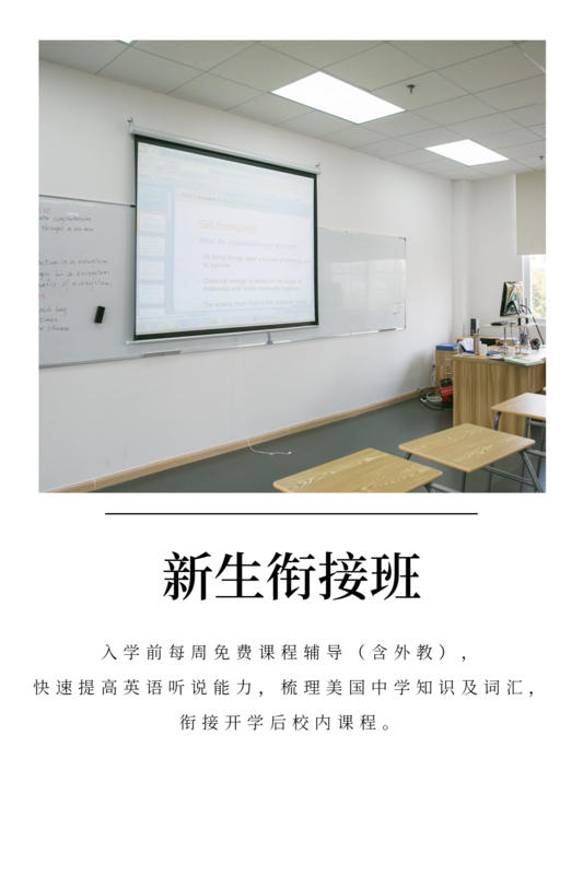 新生衔接班3.png
