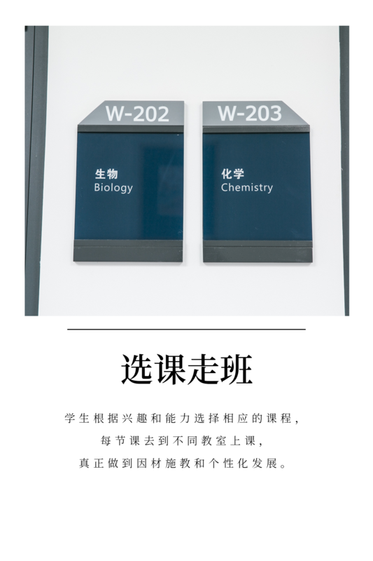 选课走班1.png
