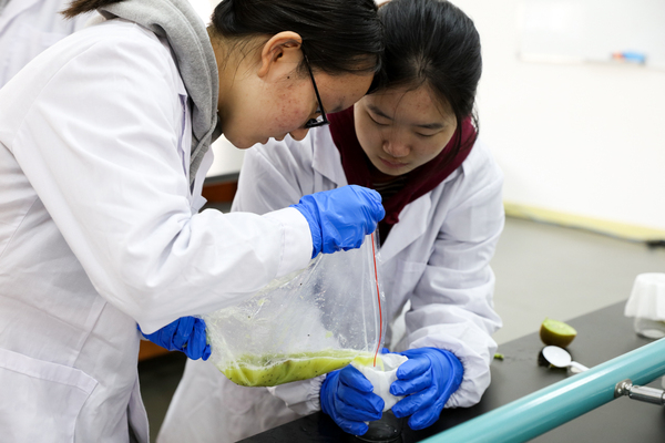 知道怎么从草莓中提取dna吗我们来教你三牛趣课堂